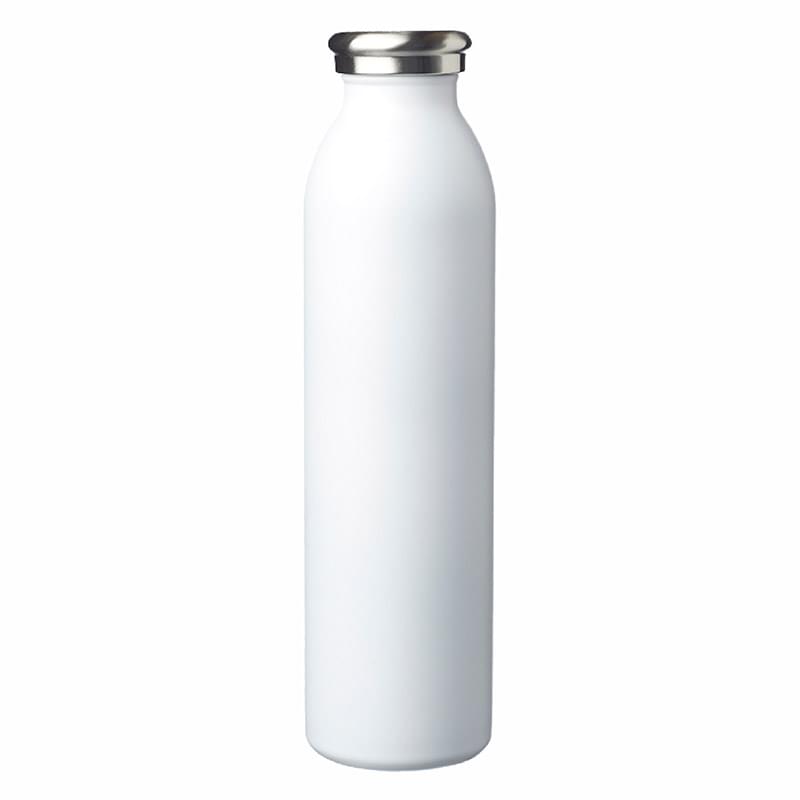 20 Oz. Posh Color Stainless Steel Bottle