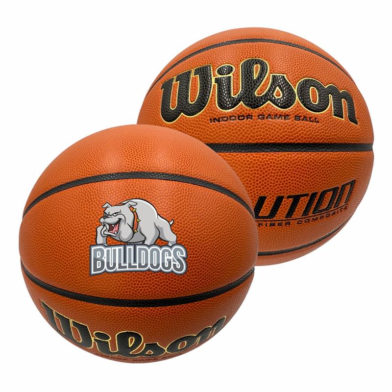 Wilson Evolution Basketball